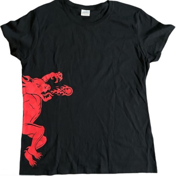 Fireball Cinnamon Tshirt Size Large - Picture 1 of 7